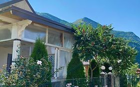 Lola Guest House